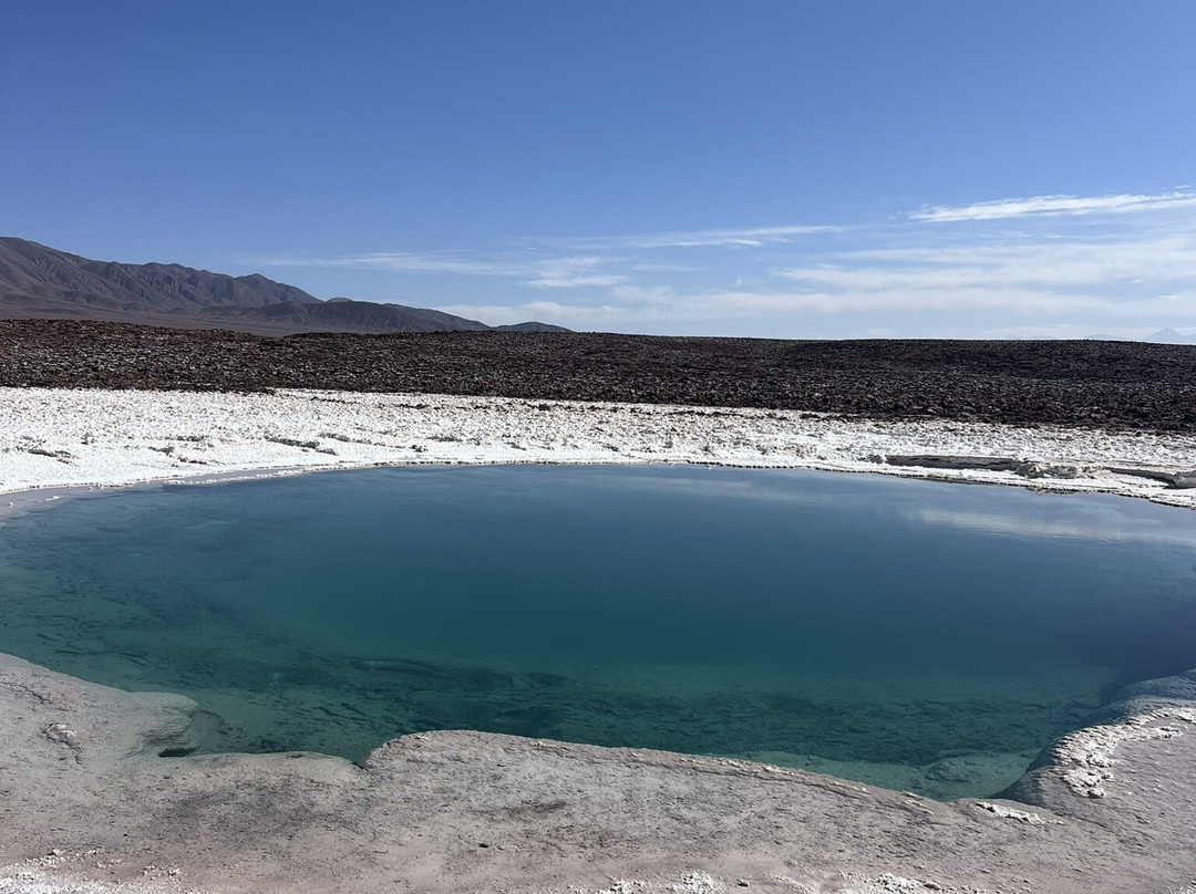 Lagunas Baltinache-圣佩德罗-德阿塔卡马必去景点