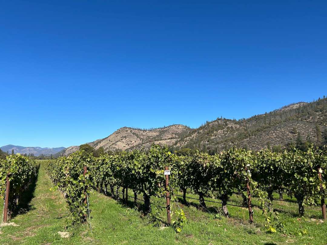 Cowhorn Vineyard & Garden-Jacksonville必去景点