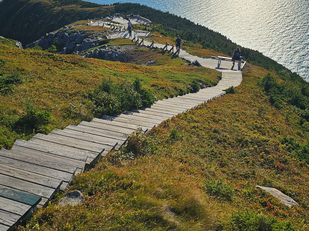Skyline Trail-布雷顿角岛必去景点