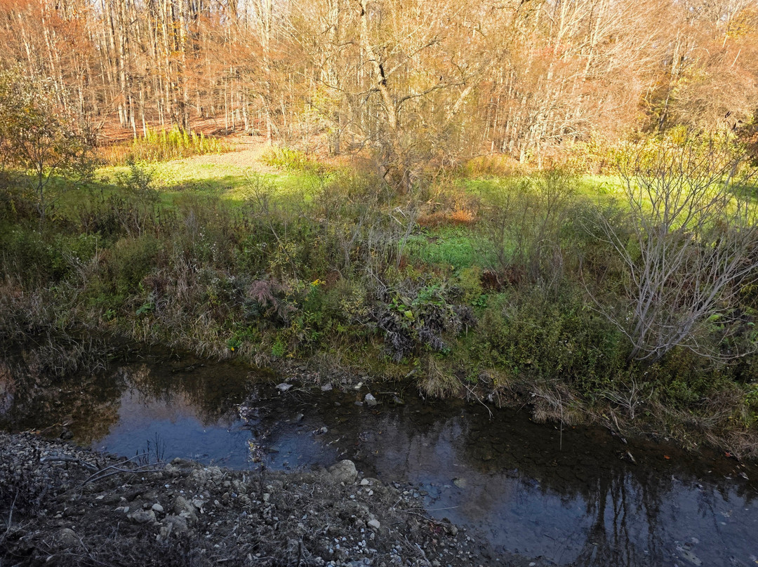 Arcade and Attica Railroad-Arcade必去景点