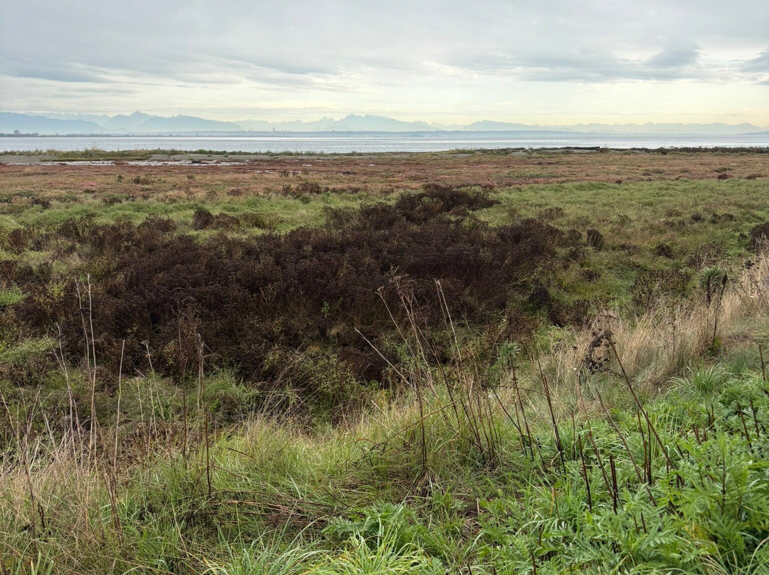 Boundary Bay Regional Park-Delta必去景点