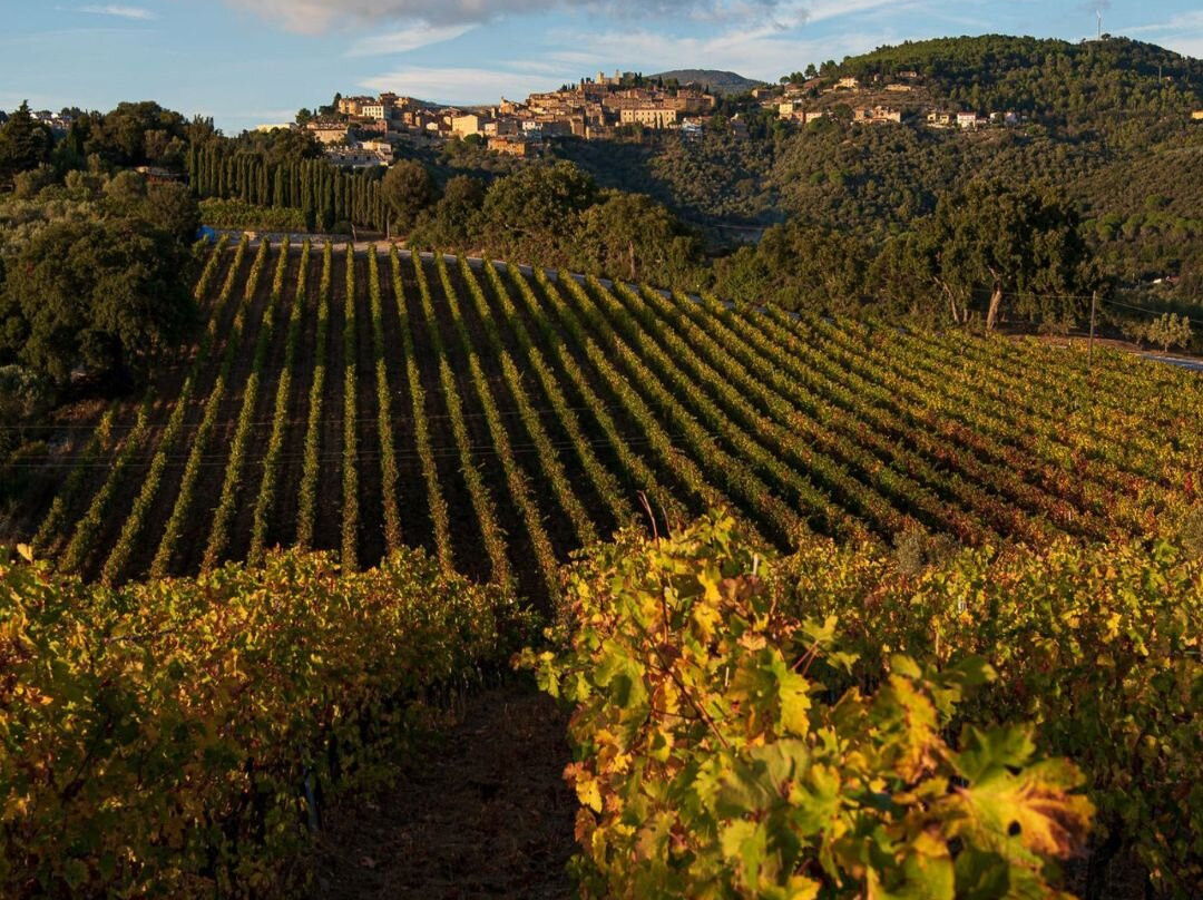 Slow Travel Livorno-里窝那必去景点