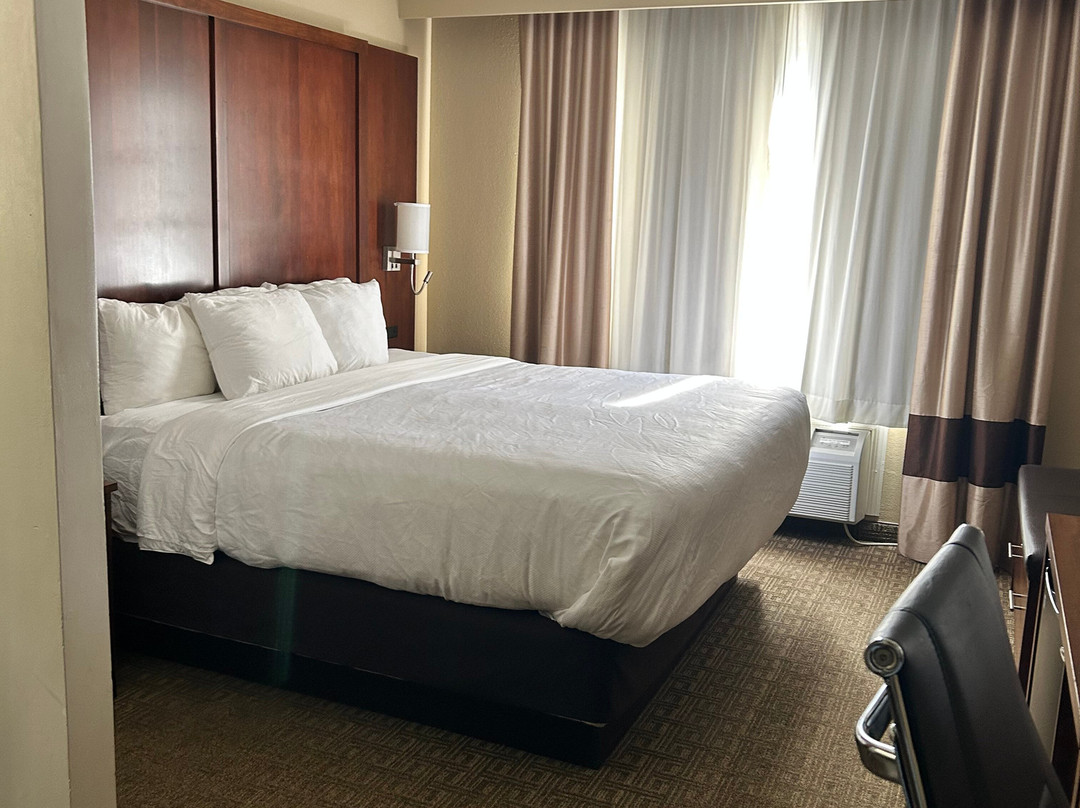 Comfort Suites主图