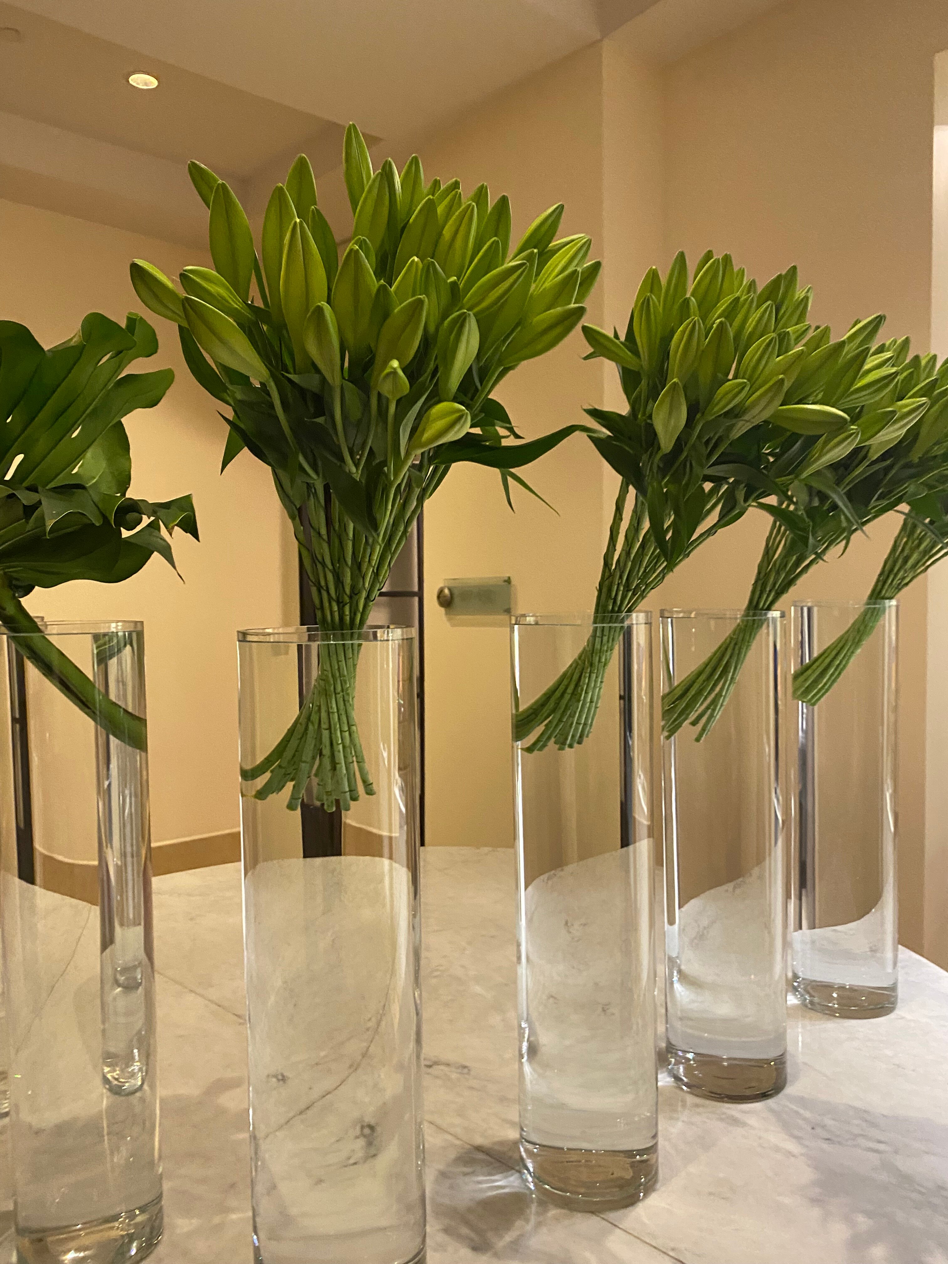 David Citadel Hotel-官方