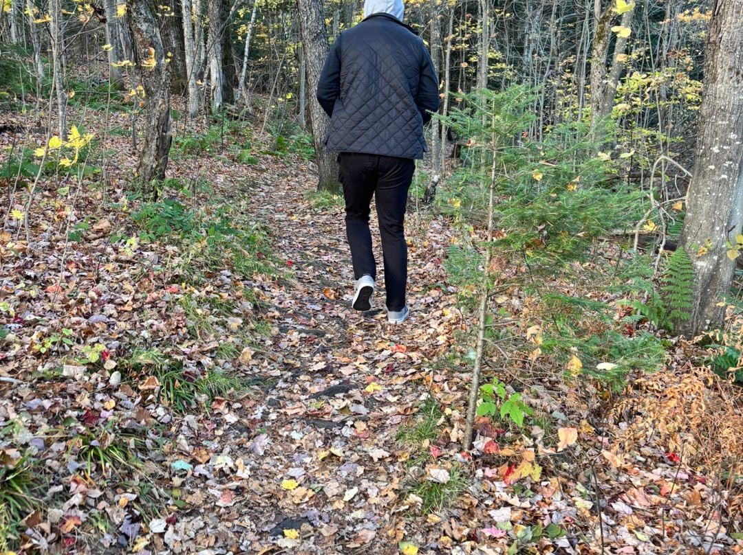 Mountain Meadows Lodge主图