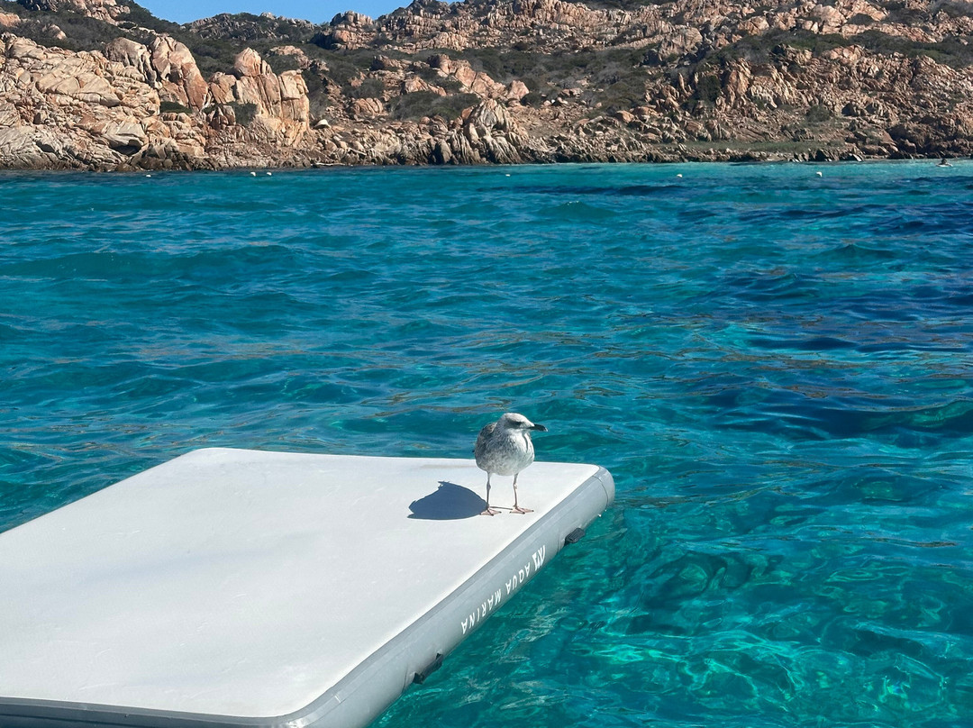 La Dolce Vita Charter-Cannigione必去景点