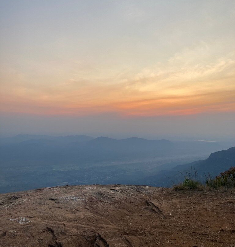 Bagamoyo Big 5 Safaris-巴加莫约必去景点