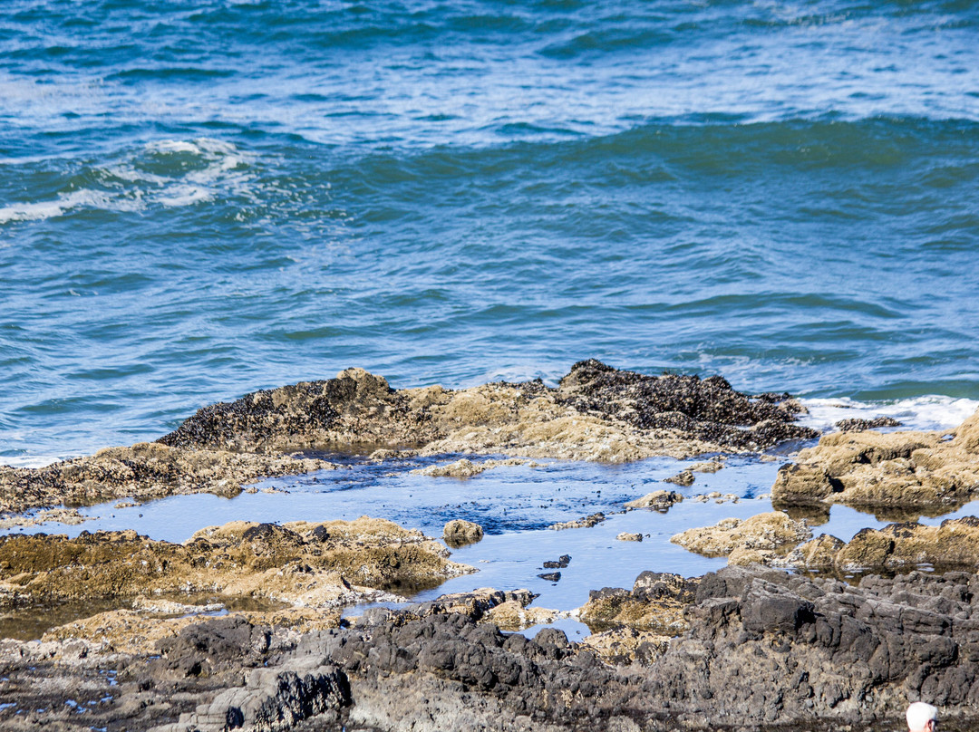 Thor's Well-亚查茨必去景点