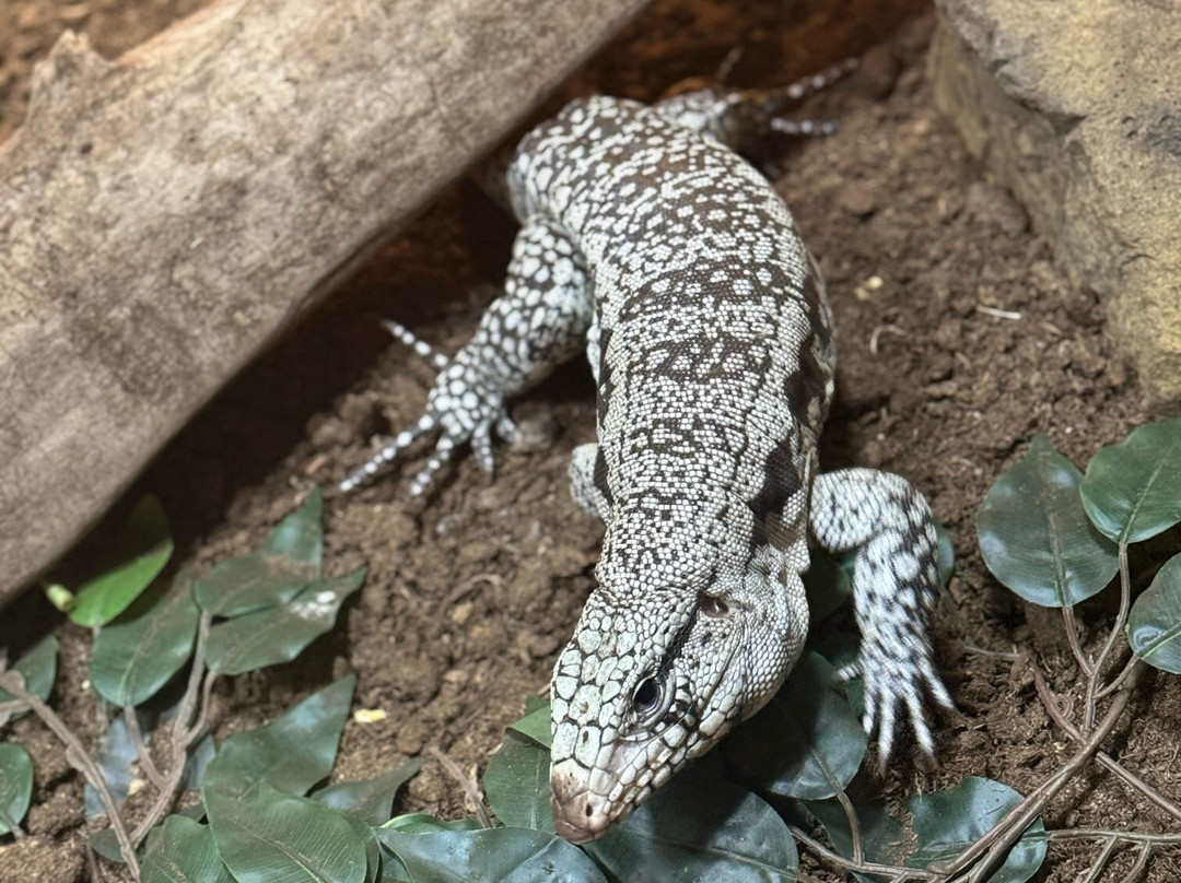 Blue Zoo Aquarium-西得梅因必去景点