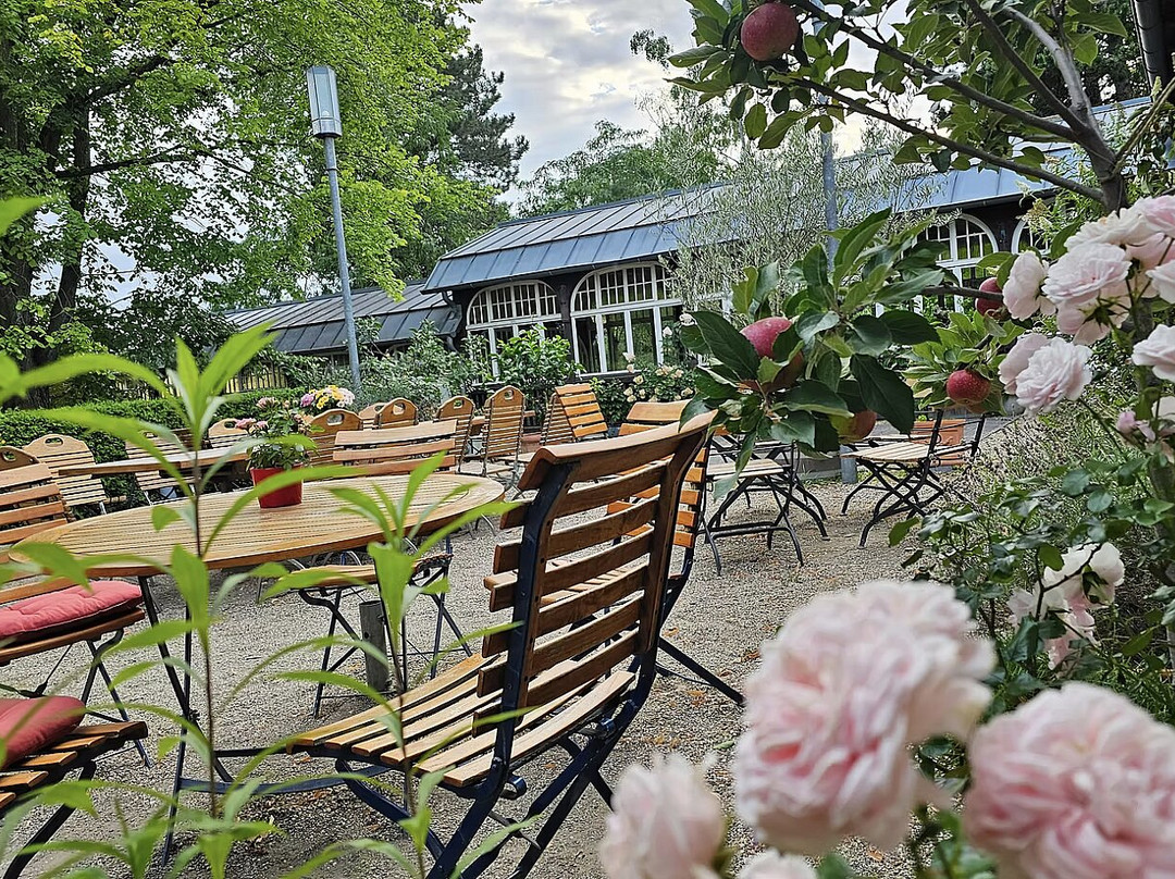 Terrassen Café & Restaurant