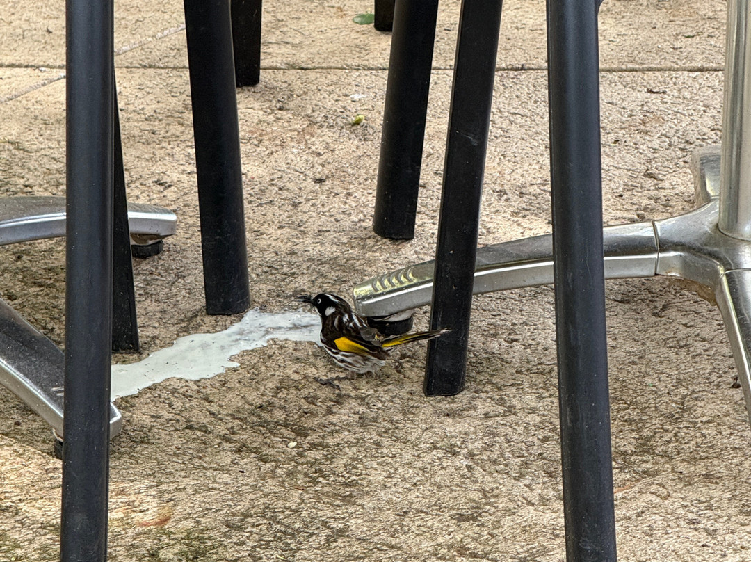 Berry Farm-玛格丽特河必去景点