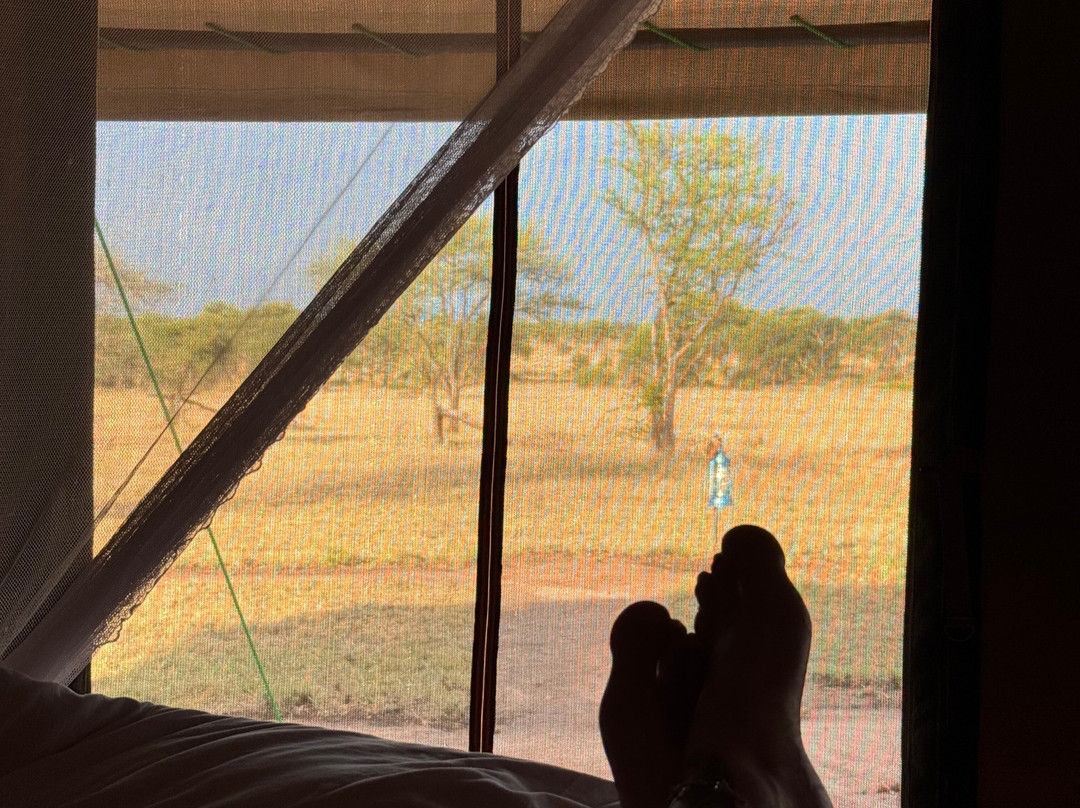 OSOTUA TENTED CAMPS-Ikoma必去景点