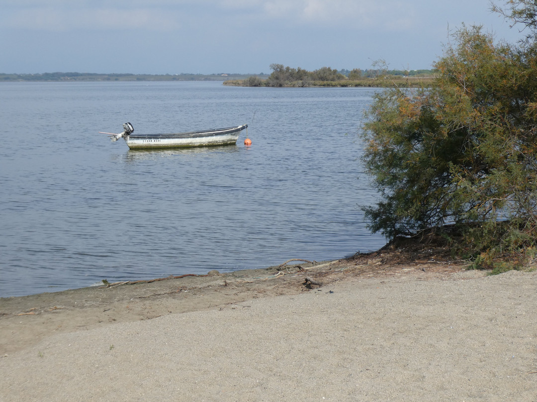Étang de Canet - Saint-Nazaire.-Saint-Nazaire必去景点