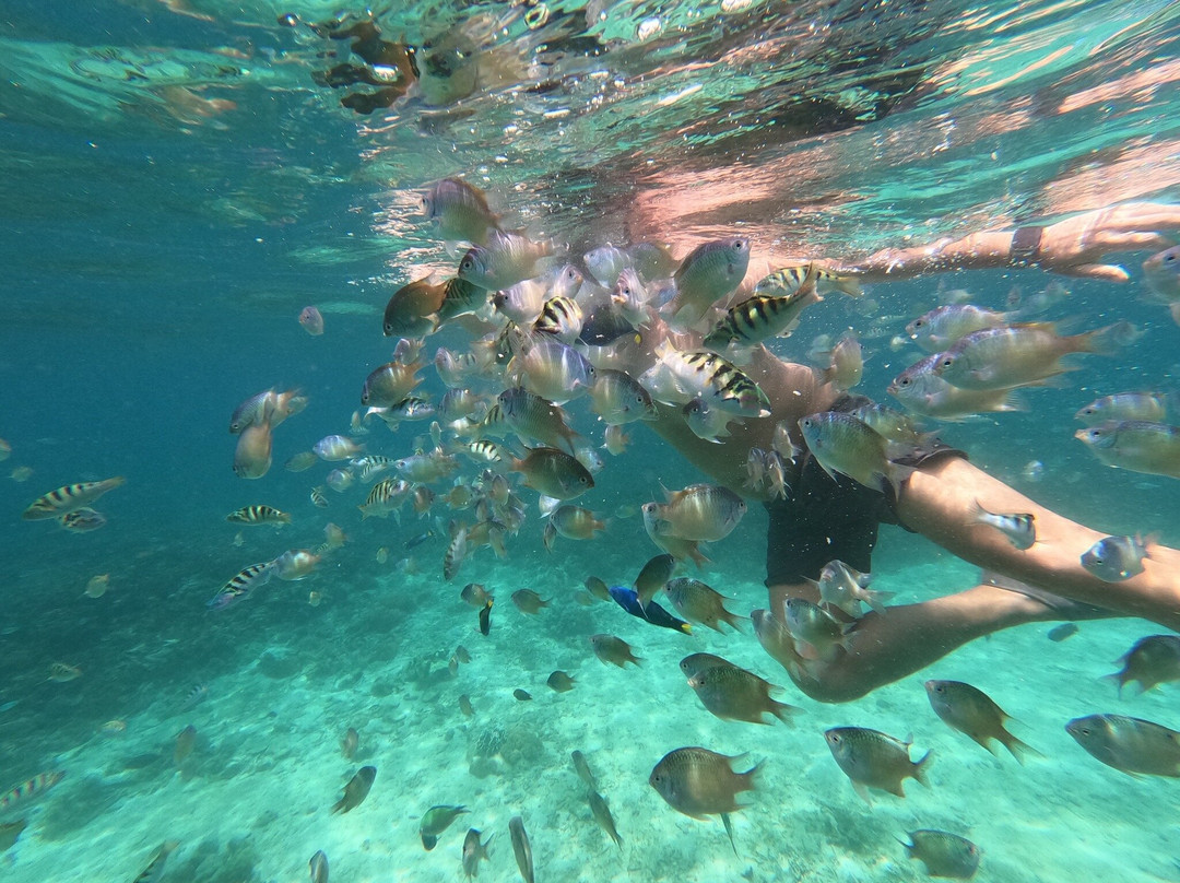 Lombok Hikes-马塔兰必去景点