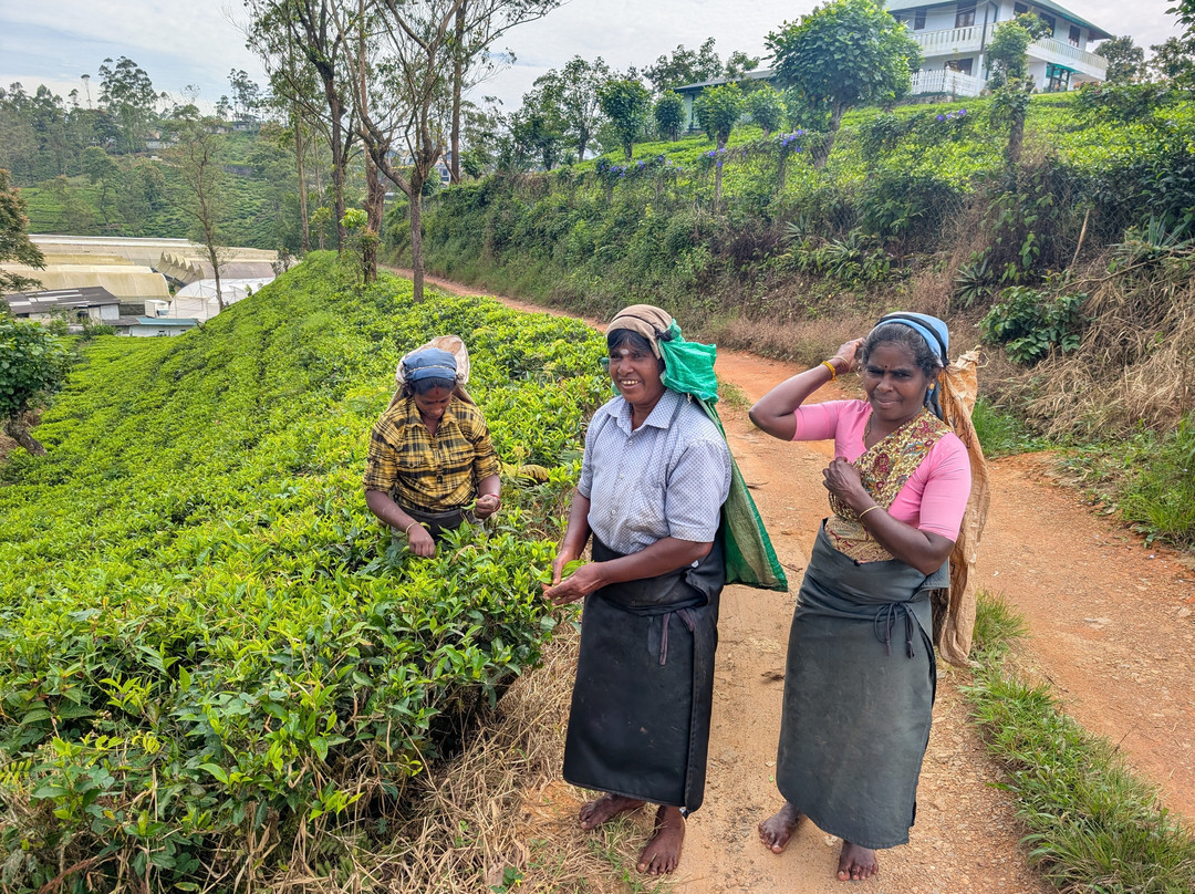 Travelers Street Pvt Ltd-马累必去景点