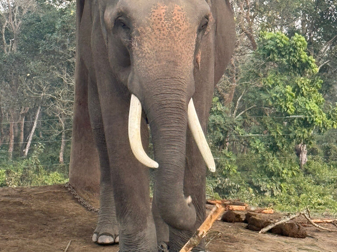 Wild Nabin Tour-奇旺国家公国必去景点