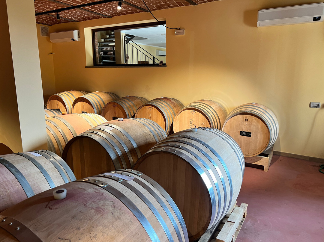 Cantina Roggero Vini - Albugnano-Albugnano必去景点