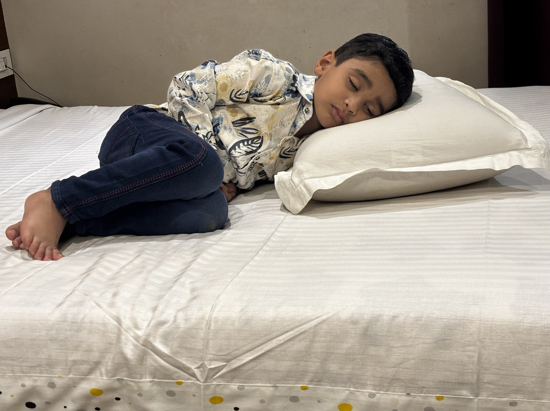 Sivaranjani Hotel主图