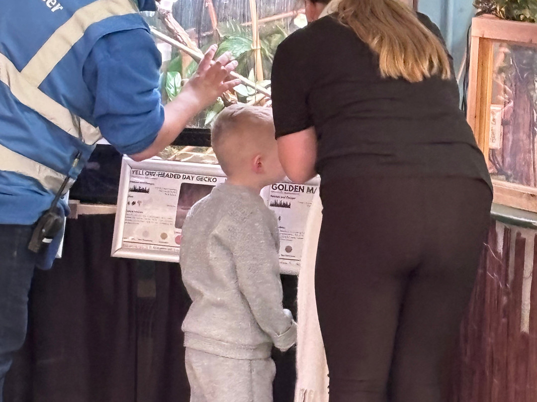 Dartmoor Zoological Society-Sparkwell必去景点