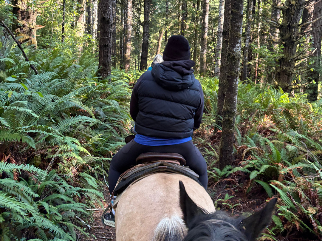Crescent Trail Rides-克雷森特城必去景点
