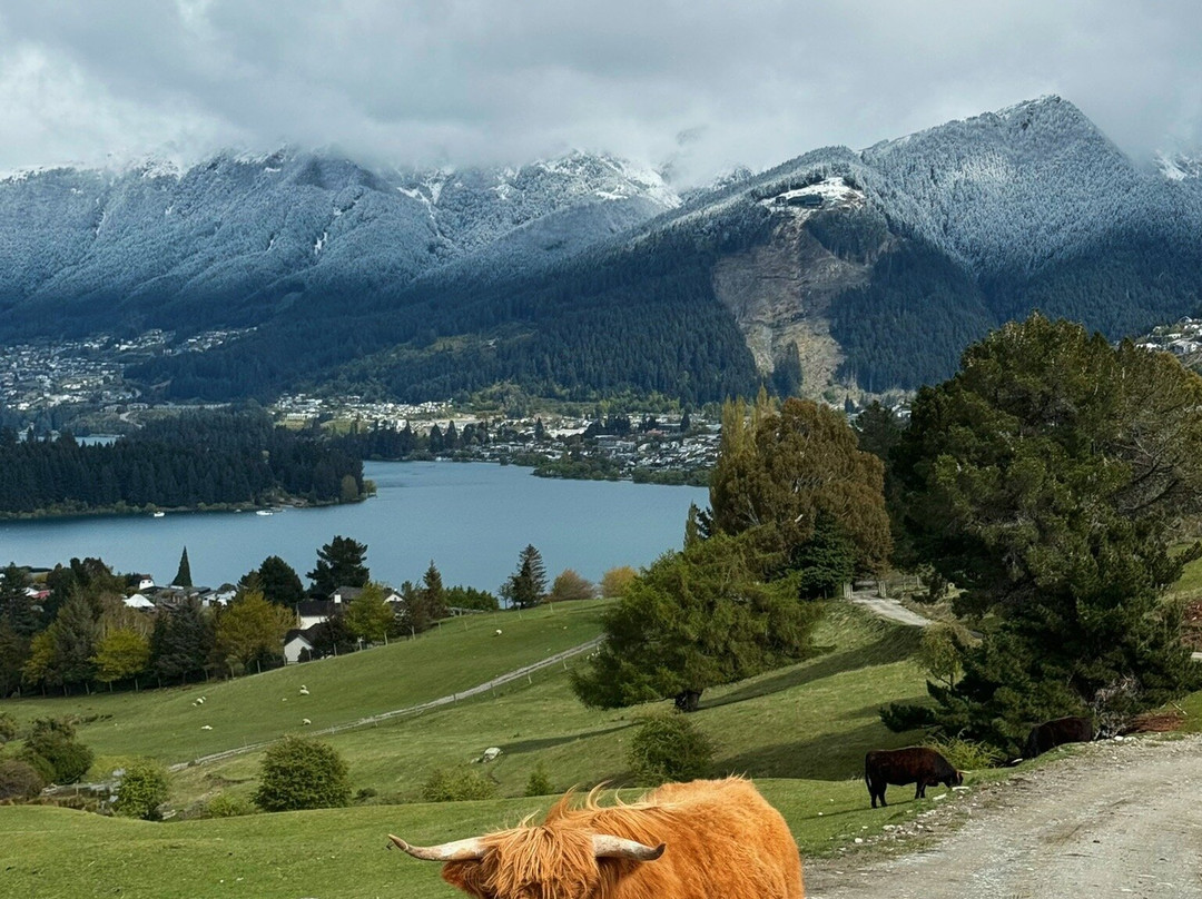 Deer Park Heights-皇后镇必去景点