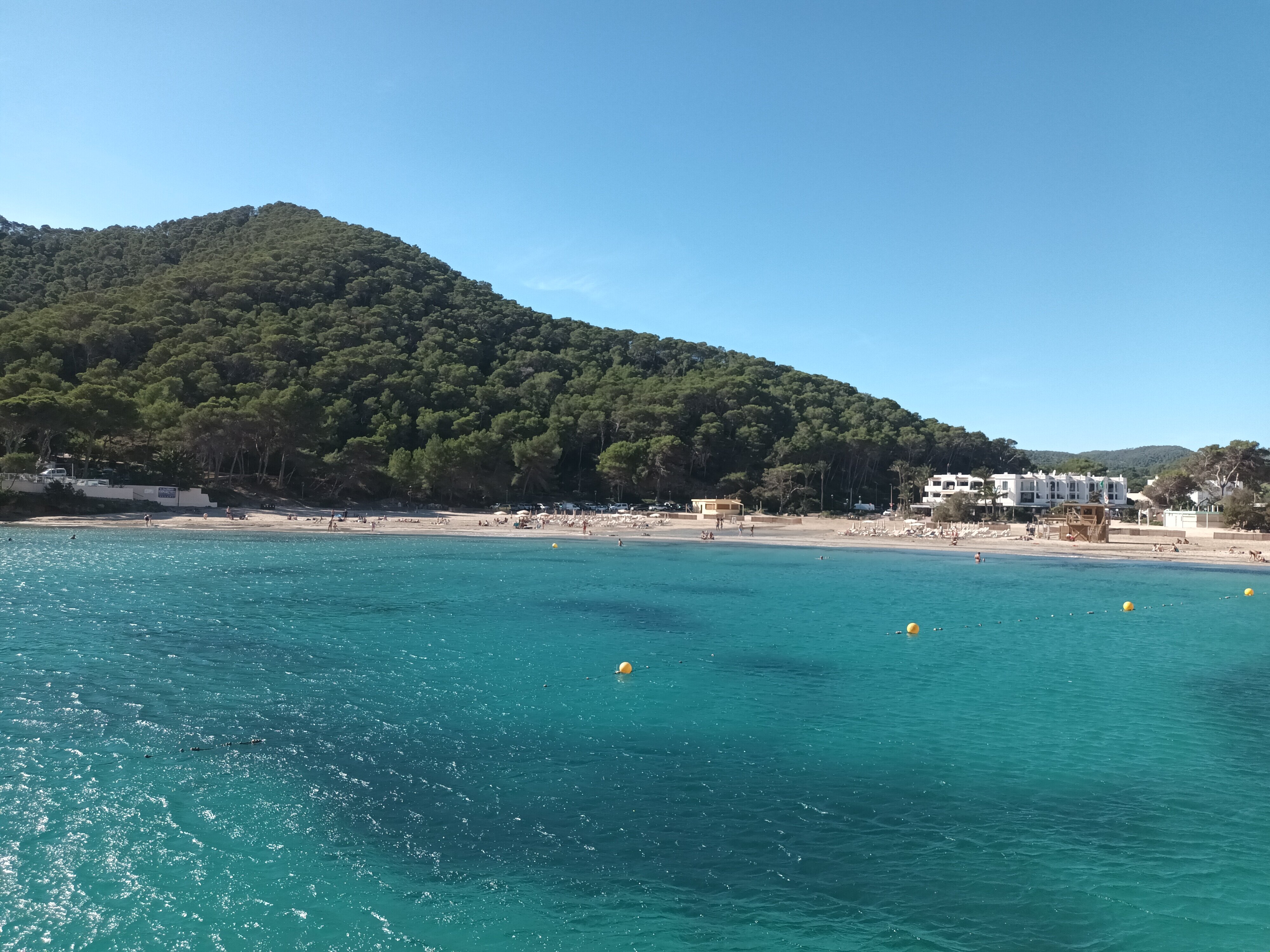 Ryans La Marina-官方