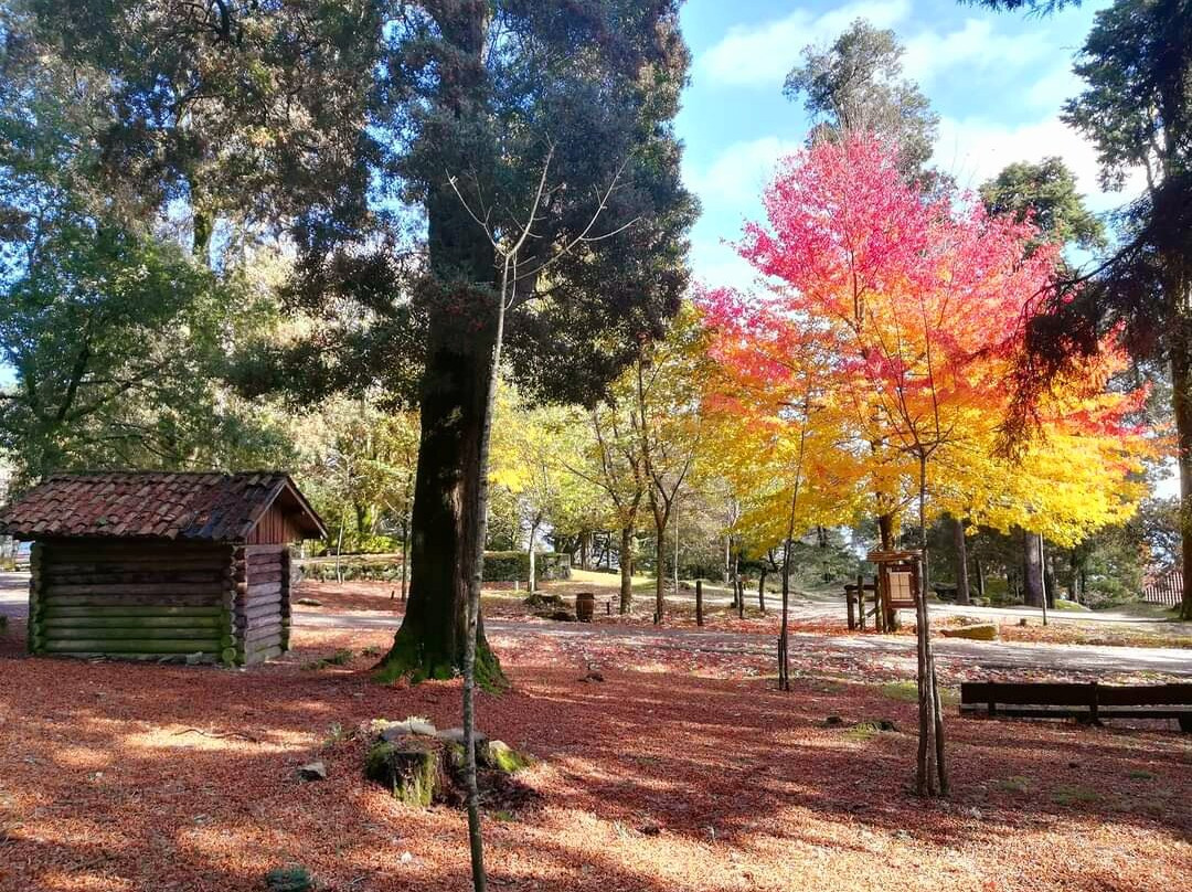 Parque Natural Monte Aloia-图伊必去景点