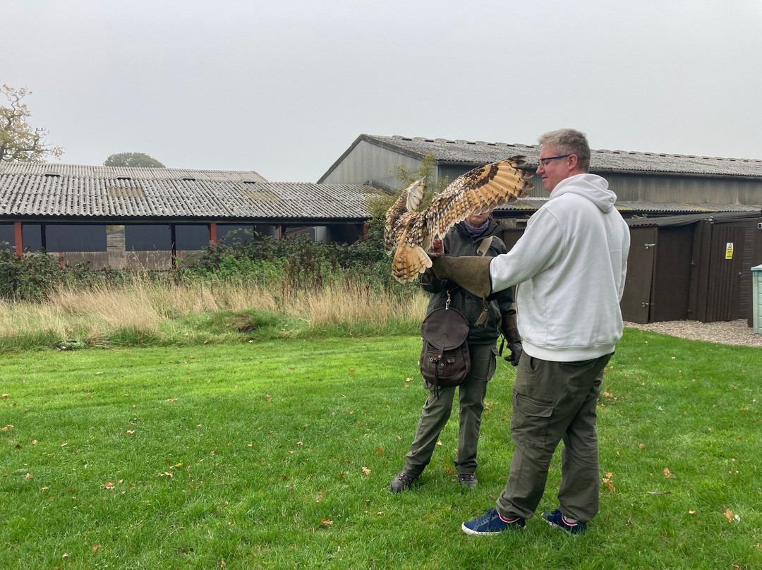 Battlefield Bird of Prey Centre-什鲁斯伯里必去景点