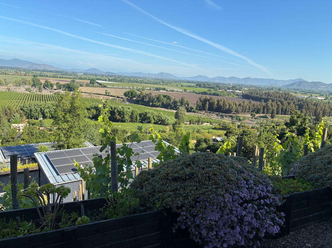 Viña Ventisquero - Mirador La Roblería-圣克鲁斯必去景点