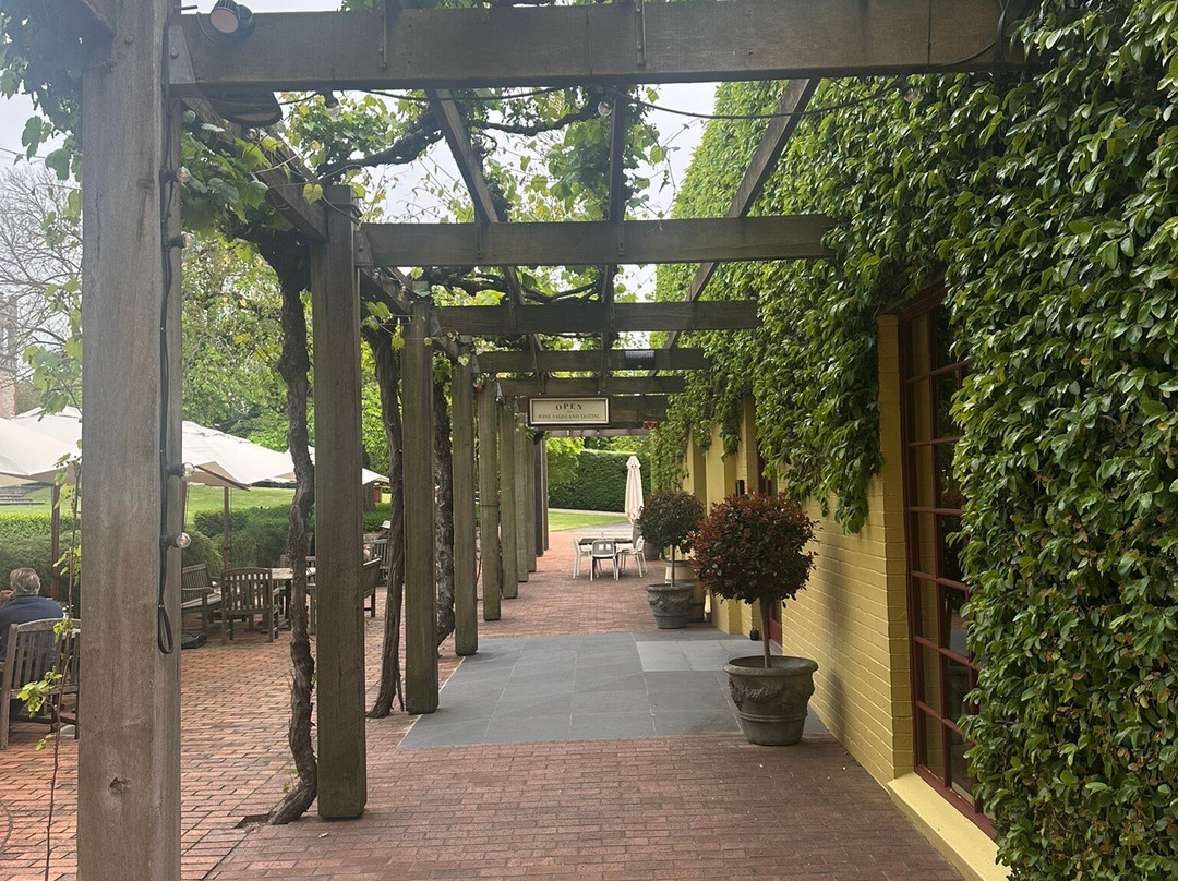 Yalumba-Angaston必去景点