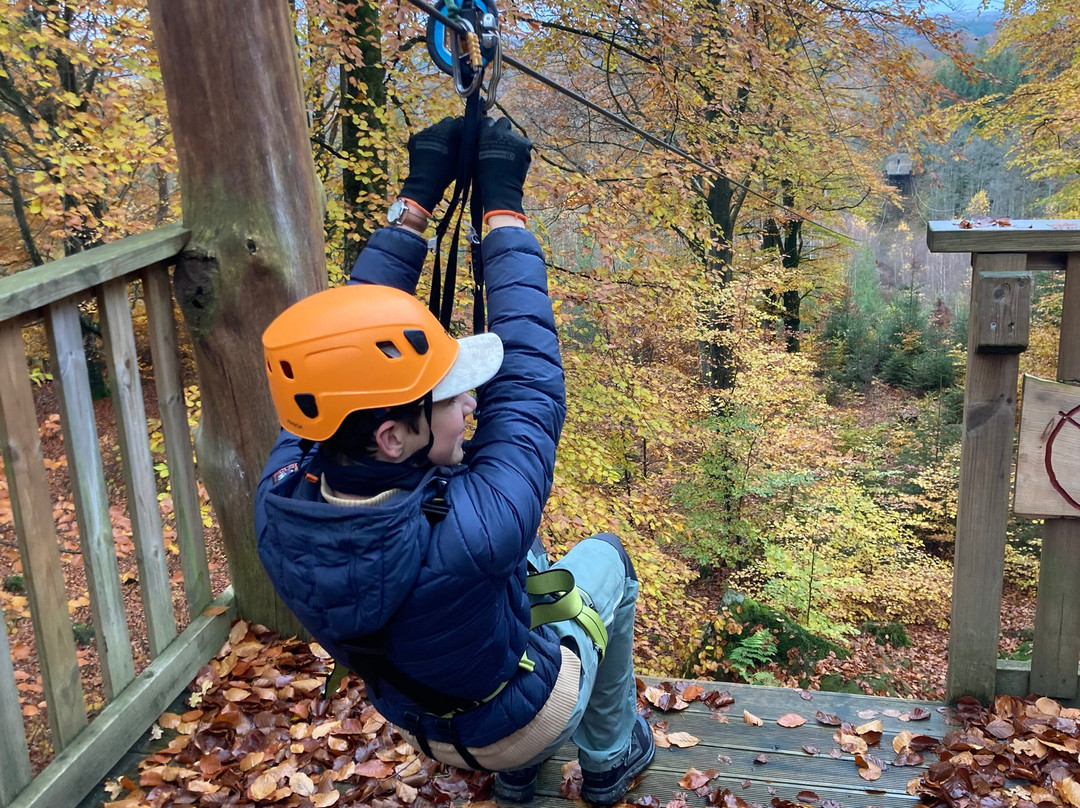 Multilevel Ziplines & Klätterpark-Hassleholm必去景点