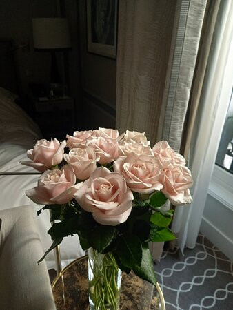 巴黎瑰丽酒店主图