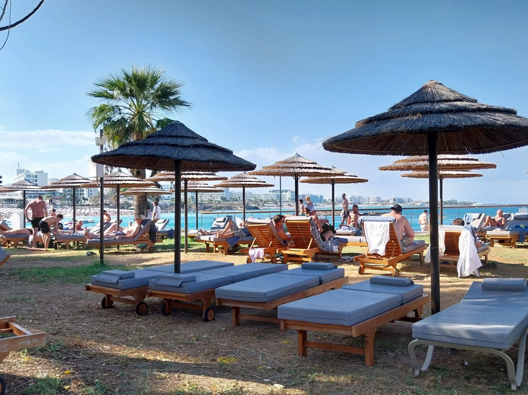 Louis Nausicaa Beach主图