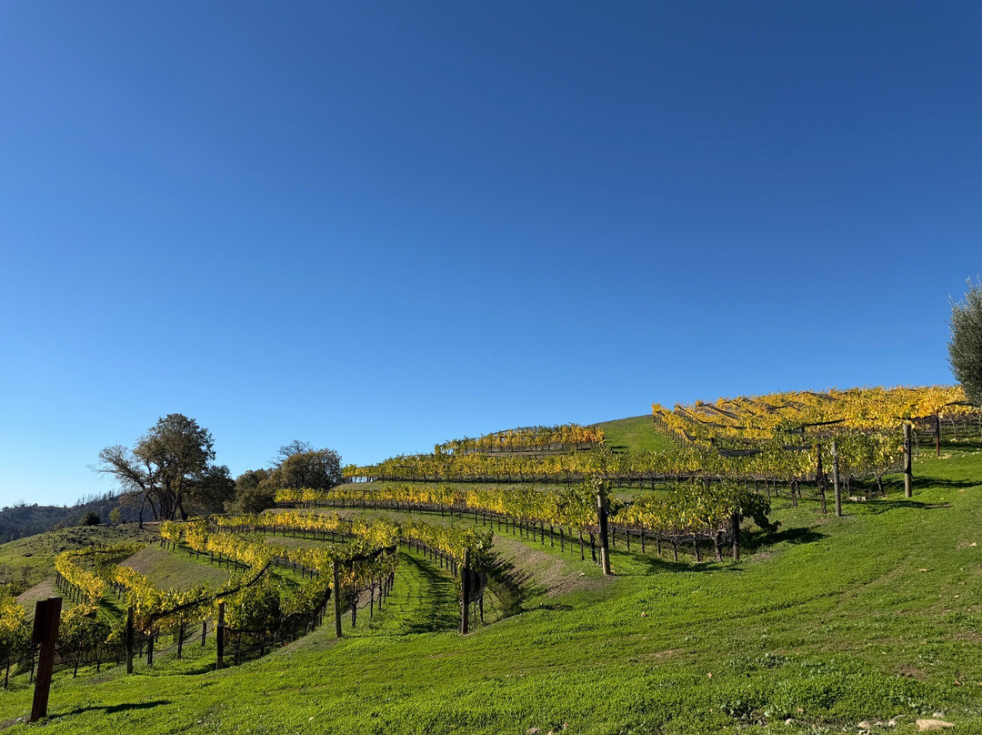 傲山酒庄-圣海伦娜必去景点