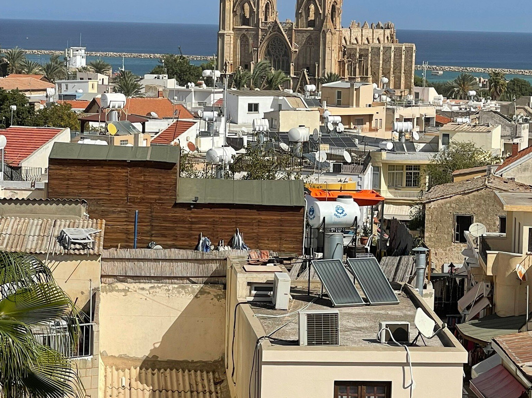 The Original Red Bus-阿依纳帕必去景点