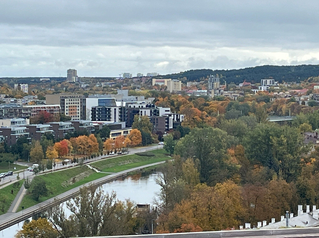 Gediminas Castle Tower-维尔纽斯必去景点