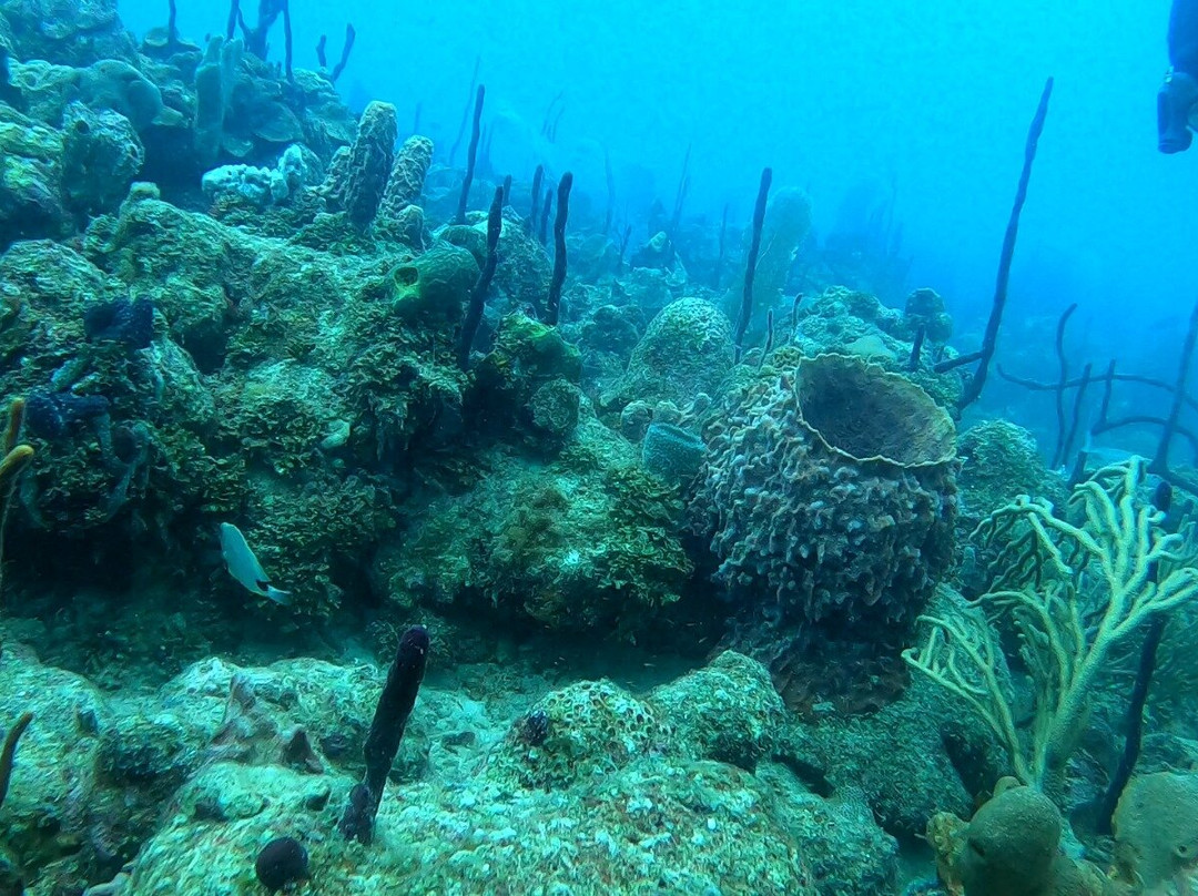 Casa Daniel-Bayahibe必去景点