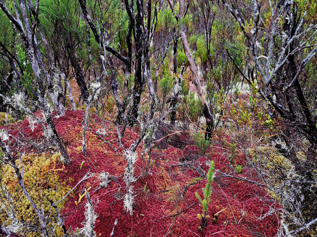 Rando Run Trekking - Day Tours-L'Etang-Sale必去景点