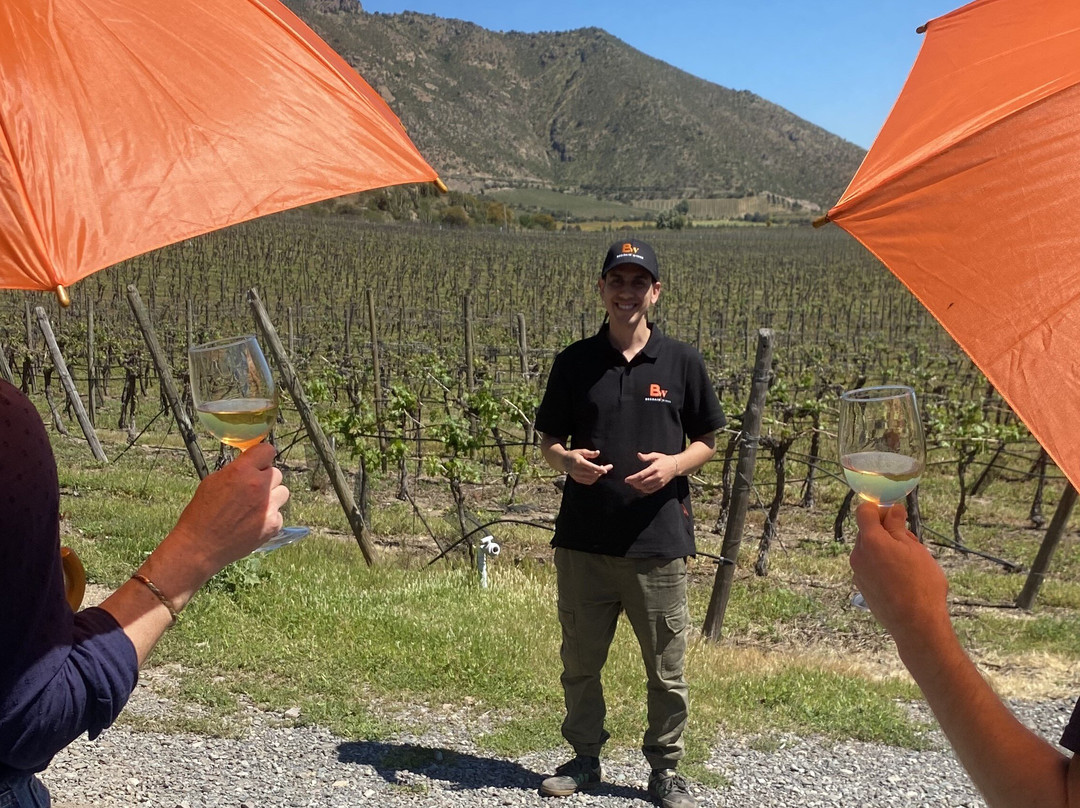 BESOAIN Wines-Pirque必去景点