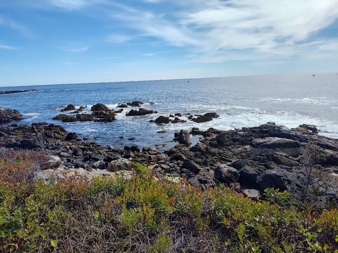 Walker's Point-肯纳邦克港必去景点