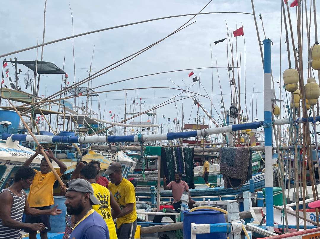 Ceylon Links Tours-Rathgama必去景点