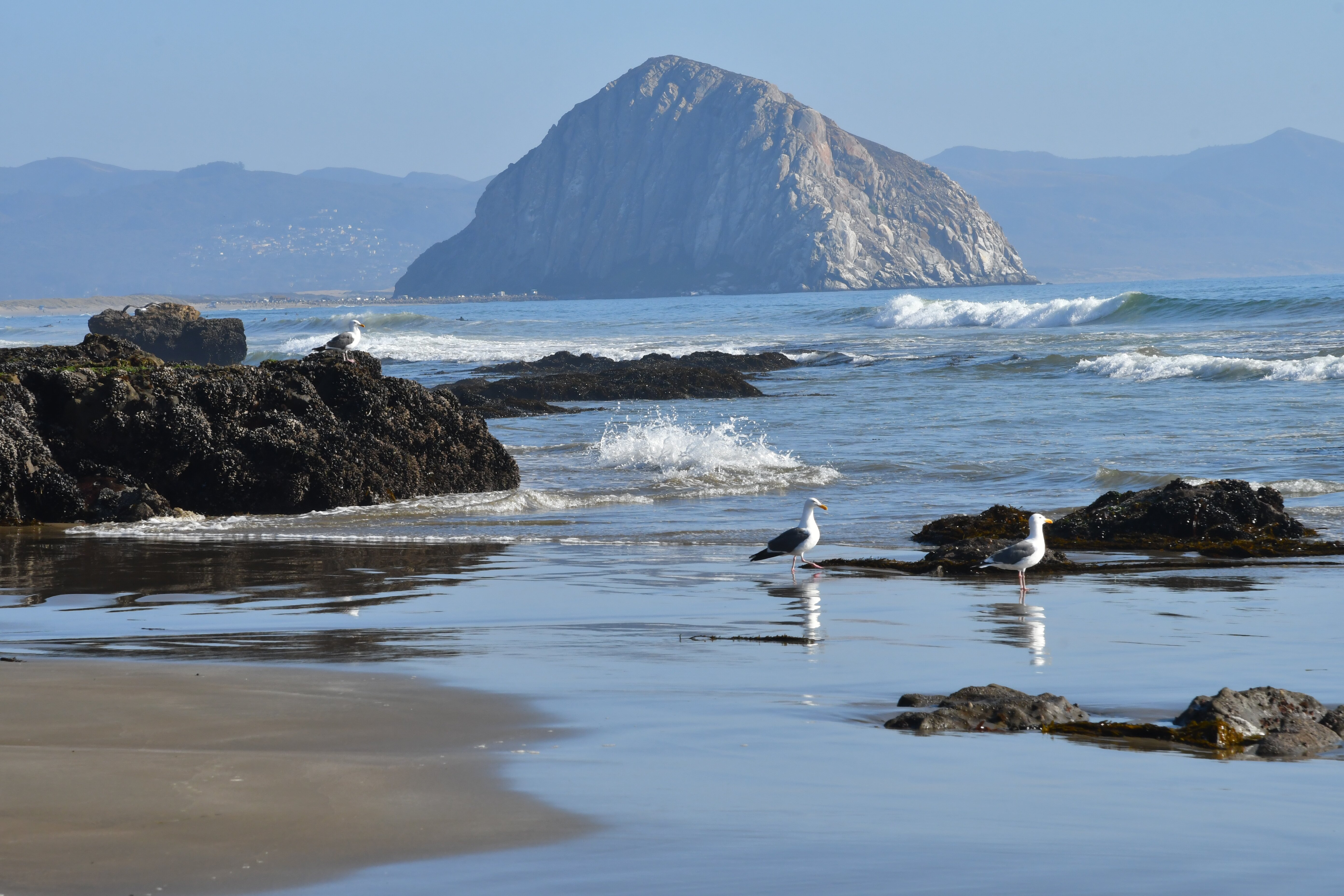 卡尤寇斯海滩酒店-官方
