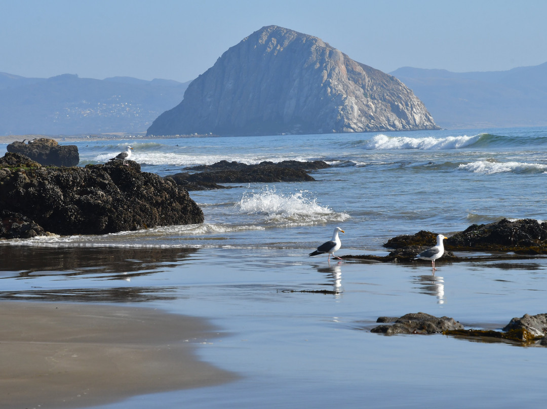 卡尤寇斯海滩酒店主图