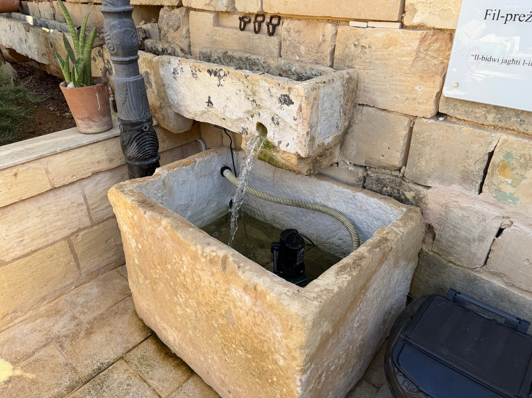 Tax-xierfa Museum-拉巴特必去景点