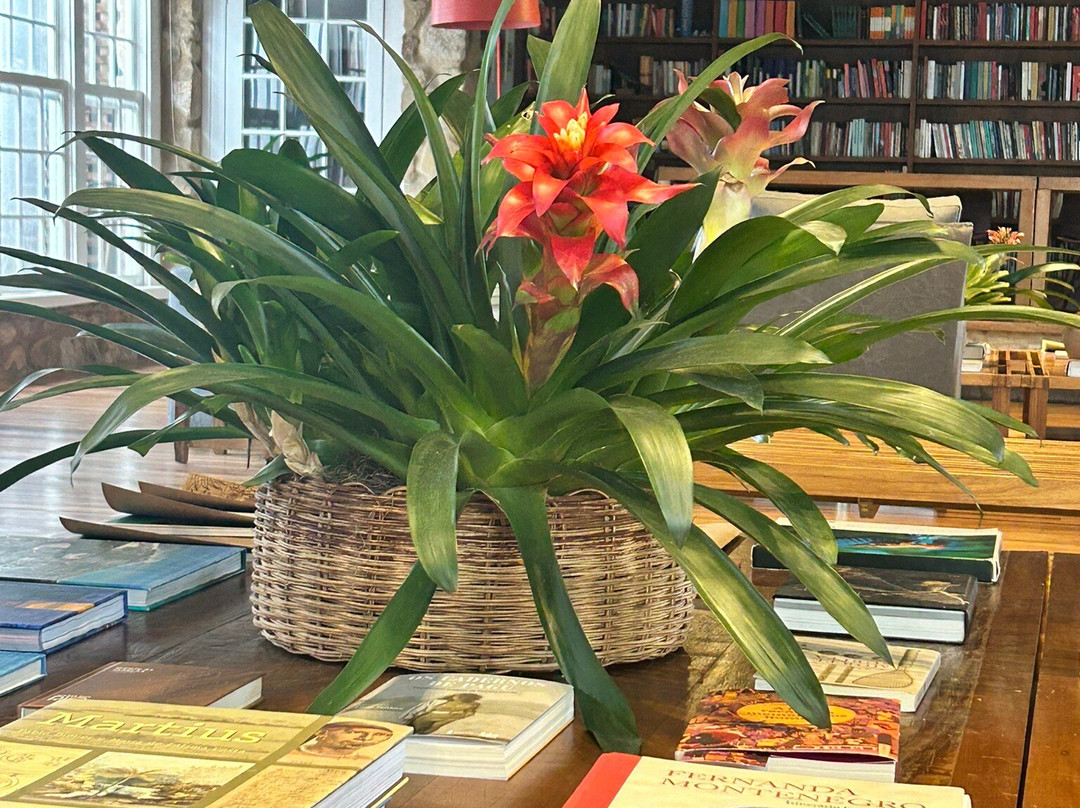 Pousada Literária de Paraty主图