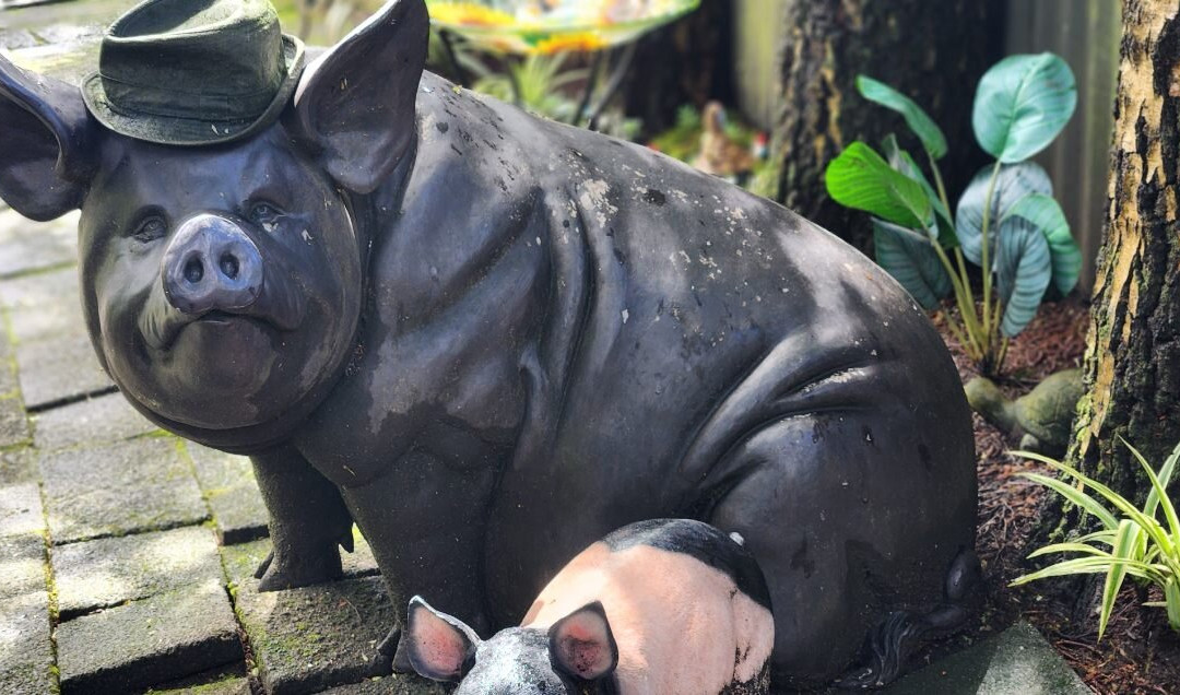 Smits & Bits-Sassafras必去景点