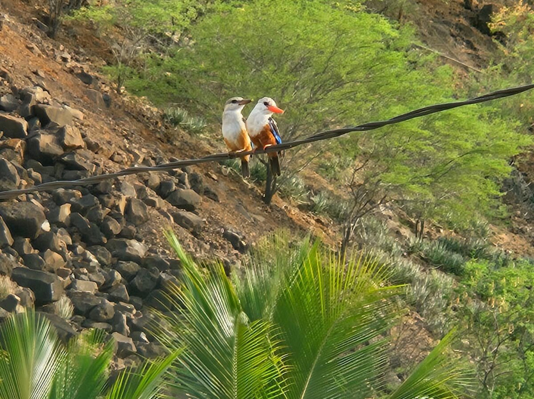 Cabral & Martins-大贝里拉历史中心旧城必去景点