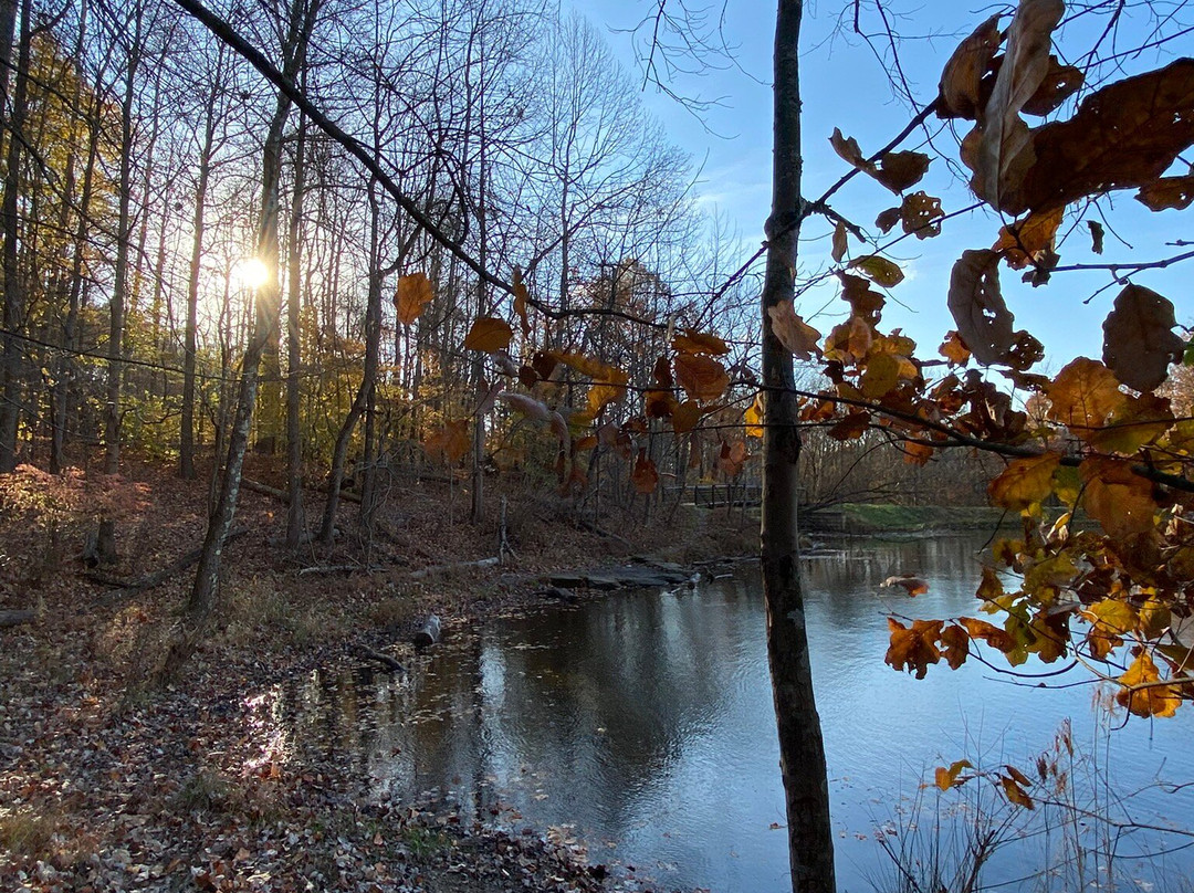 Waverly Park-路易斯维尔必去景点