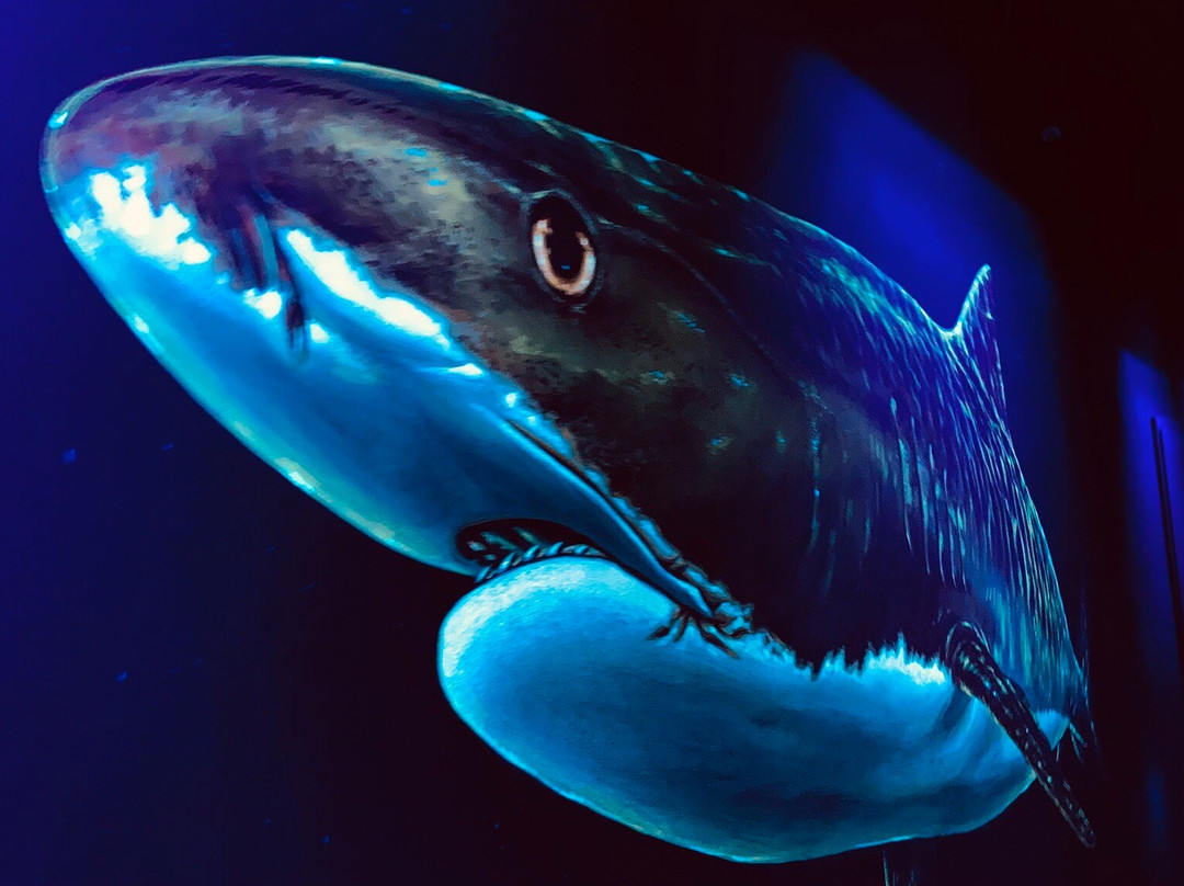 Klimahaus Bremerhaven-不来梅港必去景点