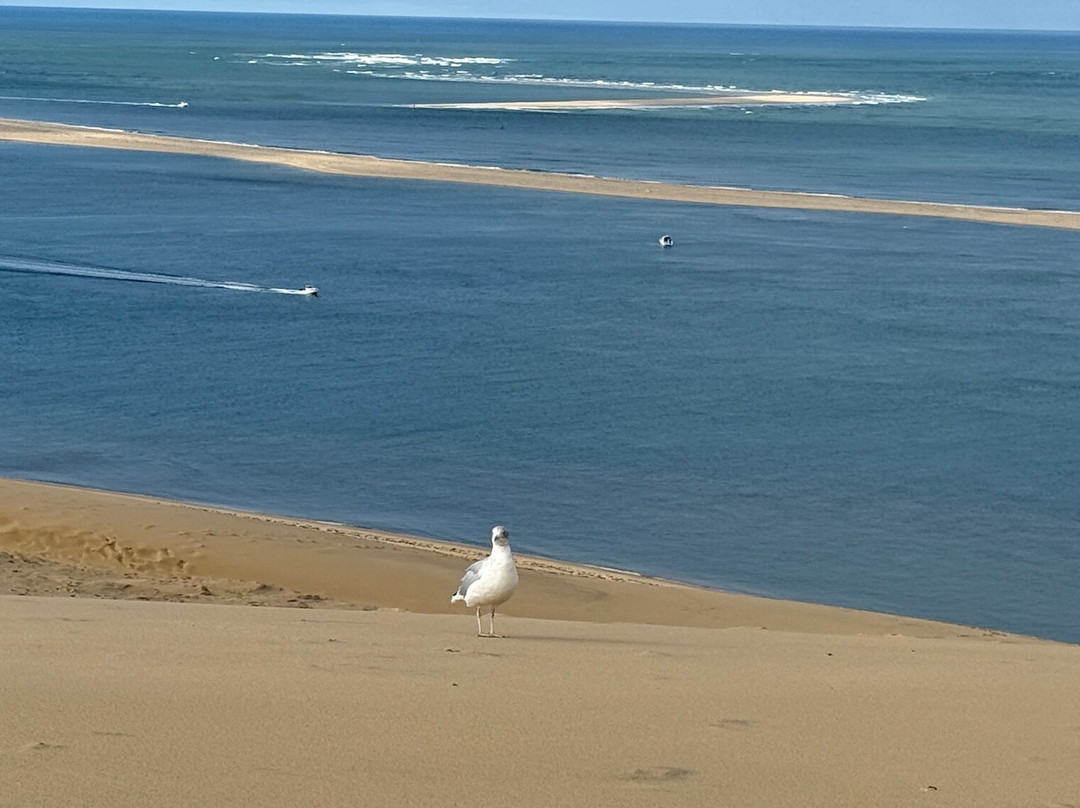 Great Dune of Pilat-拉泰斯特德比克必去景点